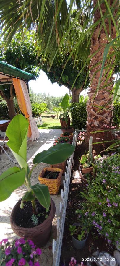 カナリEirini Houseアパートメント エクステリア 写真